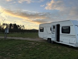 037-11-12-2025 IMG_3156